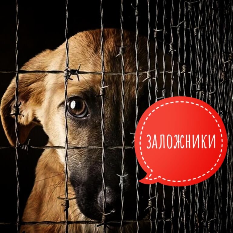 Нужна помощь как никогда