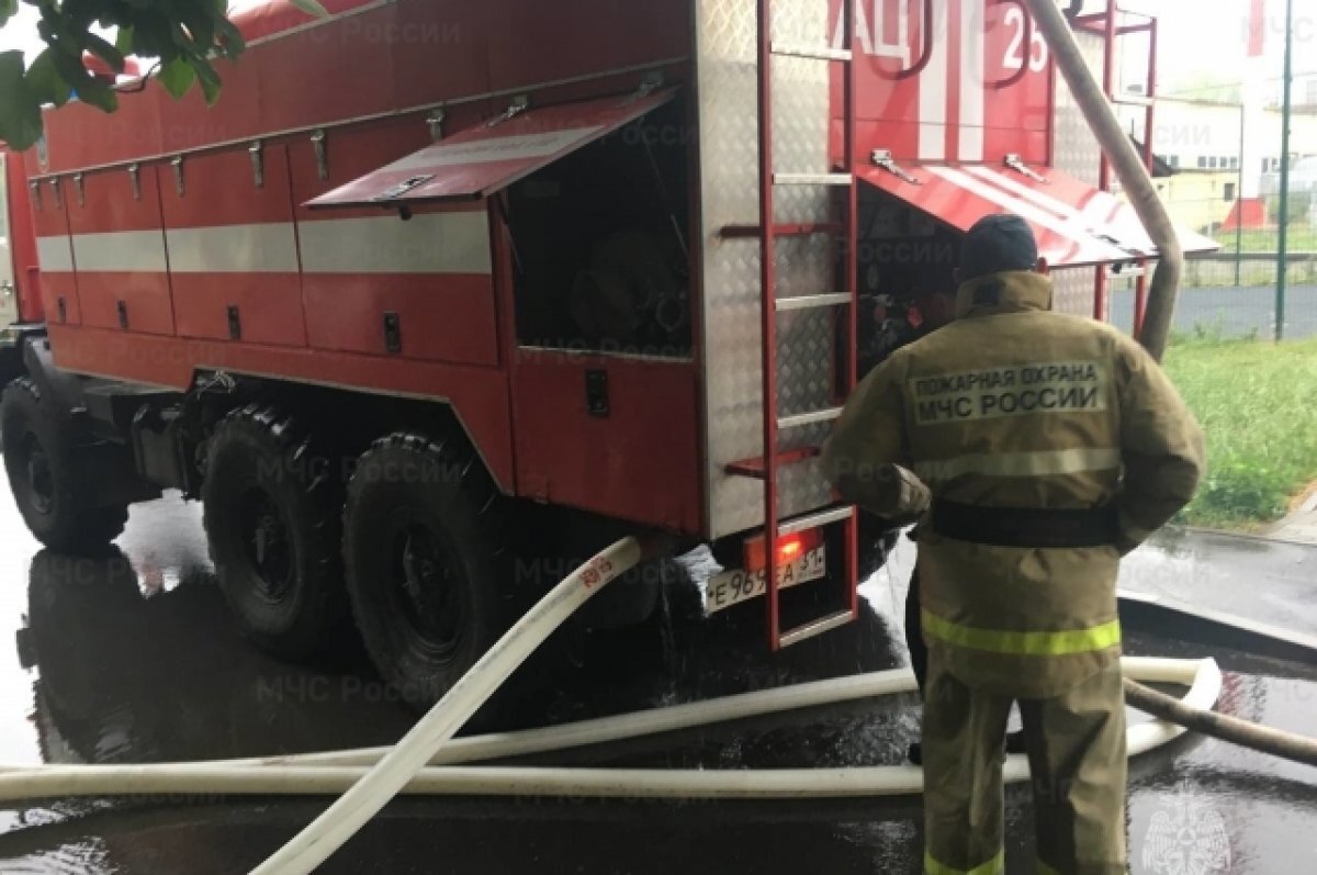    В Забайкалье назвали поселения-лидеры по числу погибших на пожарах