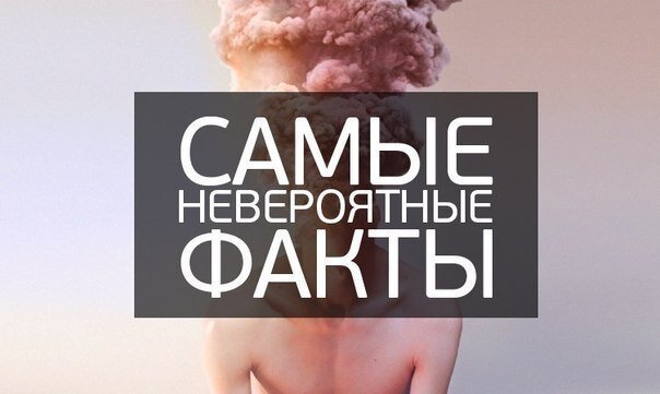 01. Если вы будете жевать жвачку во время резки лука – вы не заплачете. 02. В 97% банкнот США имеются следы кокаина.
03.Шум, который мы слышим, поднося морскую раковину к уху, вовсе не океан. Мы всего лишь слышим, как кровь в нашем ухе циркулирует по венам.
04. Россия – единственная страна, на территории которой, 12 морей.
05. Человеческие волосы и ногти продолжают расти и после смерти.
06. 95% людей сначала надевают левый носок, потом правый.
07. Леонардо да Винчи рисовал губы Моны Лизы 12 лет
08. Уинстон Черчилль родился на дискотеке в женском туалете
09. В одном году 31536000 секунд.
10. 1111111 х 1111111 = 1234567654321
11. Анатидаефобия — это навязчивый страх, что где-то в мире есть утка, следящая за вами
12. Если кричать на стакан воды в течении 80 лет, то можно его вскипятить.
13. Каждый палец человека за время жизни сгибается примерно 25 миллионов раз.
14. Самая дорогая игрушка в мире — это Hello Kitty стоимостью $167 000
15. Самая большая бутылка водки в мире — 200 литров.
16. Один миллиард секунд — это примерно 37 лет.
17. В мире потребляется порядка 4,5 миллиардов литров бензина в день.
18. Если у вас одна ноздря закрыта в течение 72 часов, вы будете медленно терять способность видеть цвета.
19. Чаще всего жены миллионеров – учителя.
20. У парков аттракционов после инцидентов со смертельным исходом увеличивается посещаемость
21. За всю свою жизнь человек вырабатывает столько слюны, что ее хватило бы на 2 больших бассейна.
22. На острове Окинава проживает около 500 людей в возрасте 100 лет и старше.
23. Научное название процесса поцелуя – филематология.
24. Самый тяжёлый день недели — это вторник.
25. Общение в интернете способствует «быстрому сексу»
26. Если погаснет Солнце, Земля погибнет всего через… 8 минут 20 секунд.
27. Стоимость Земли — пять квадриллионов долларов.
28. Люди тратят две недели жизни в ожидании зеленого сигнала светофора.
29. На поверхности кожи человека больше организмов, чем людей на поверхности земли.
30. Лизнуть собственный локоть человеку невозможно анатомически.
31. Если вы правша, то в большинстве случаев вы будете пережевывать пищу правой стороной челюсти. Если левша – левой.
32. Титаник был первым кораблем, который использовал сигнал SOS при бедствии.
33. Человеческий зрачок расширяется на 45%, когда мы смотрим на что-то приятное.
34. Если бросить курить – то сон сократиться на час.
35. Из 1 грамма золота можно вытянуть проволоку длиной 3,5 километра.
36. Каждый раз, когда вы чихаете, некоторые мозговые клетки у вас в голове отмирают.
37. На самом деле Google – это число 10 в сотой степени.
38. 7 миллионов – именно столько стоит, чтобы построить титаник, и 200 миллионов, чтобы снять фильм о нем.
39. Чтобы подняться на Эйфелеву башню, нужно пройти 1.792 ступеньки.
40. Каждый день примерно 200 миллионов пар занимаются любовью, рождается 400,000 детей и 140,000 умирает.
