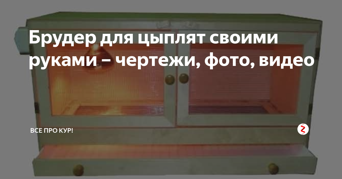Брудер на 100 цыплят своими руками чертежи размеры