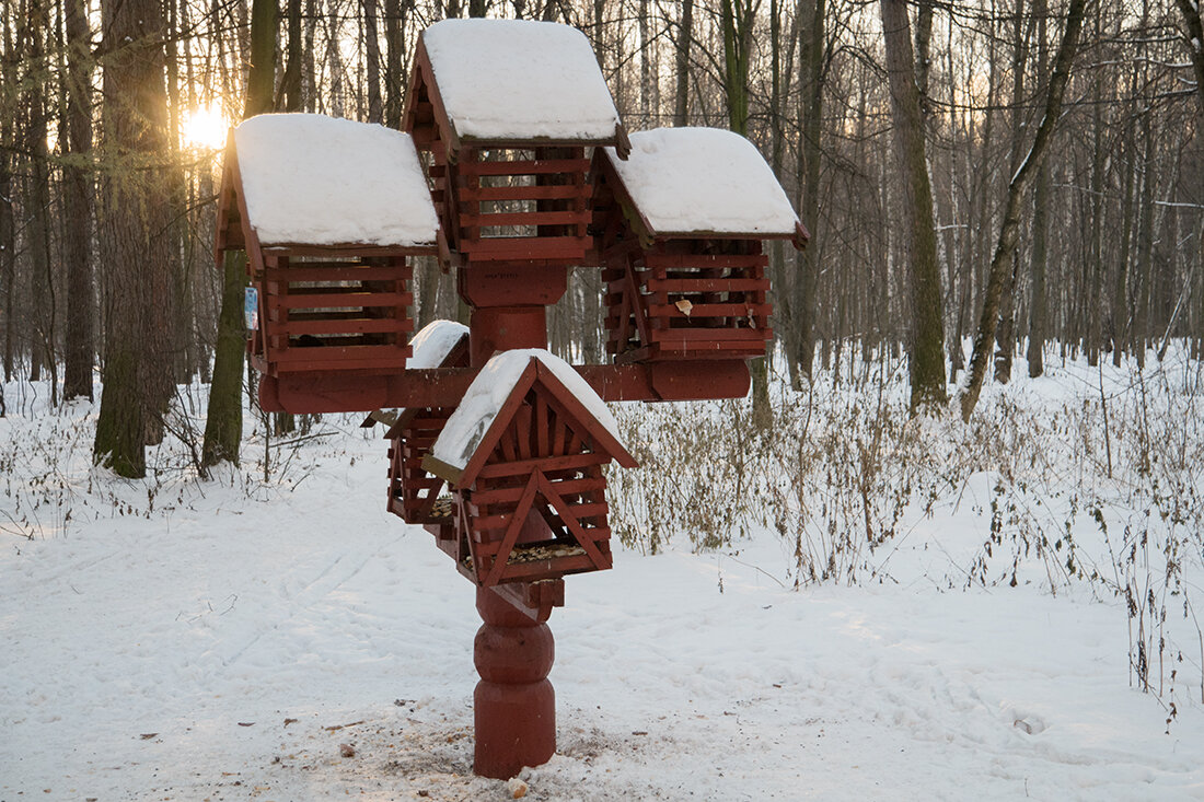 Кормушки в парке. Кормушки в Измайловском парке. Кормушки в парке Измайлово. Стационарные кормушки в парках.