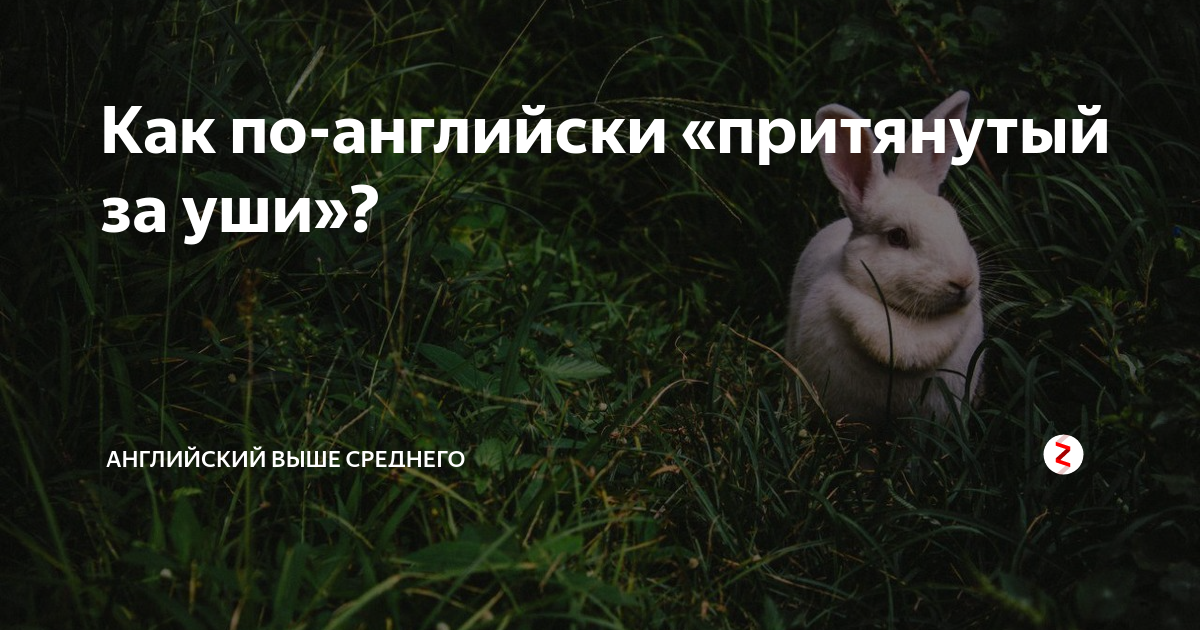 Как по-английски «притянутый за уши»? | Английский выше среднего | Дзен