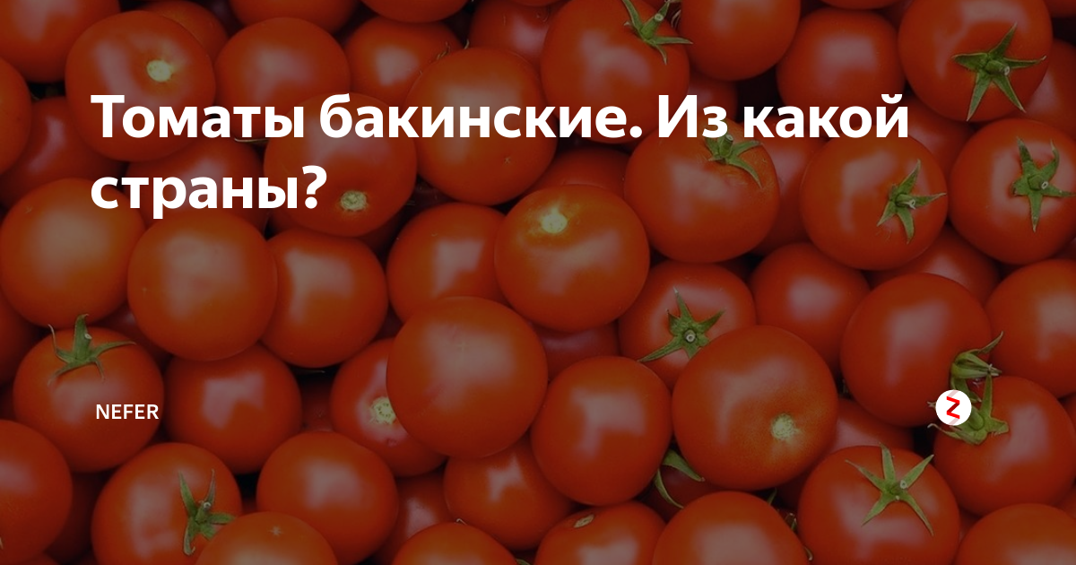 Томат бакинский 622. Томат Бакинские 622. Томат Бакинский сорта. Бакинские помидоры семена. Томат Бакинский великан.