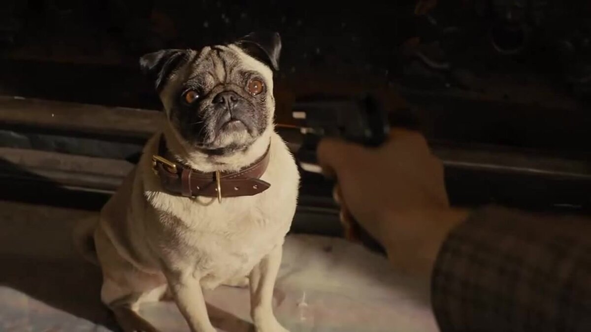 Помните собаку, которую надо было убить для попадания в Kingsman?