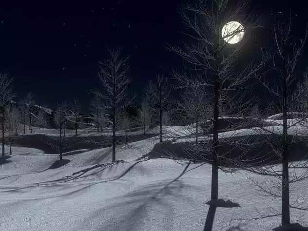  20 февраля 2018 - 11:09 Женщину искали с 13 февраля, а нашли только спустя 5  дней