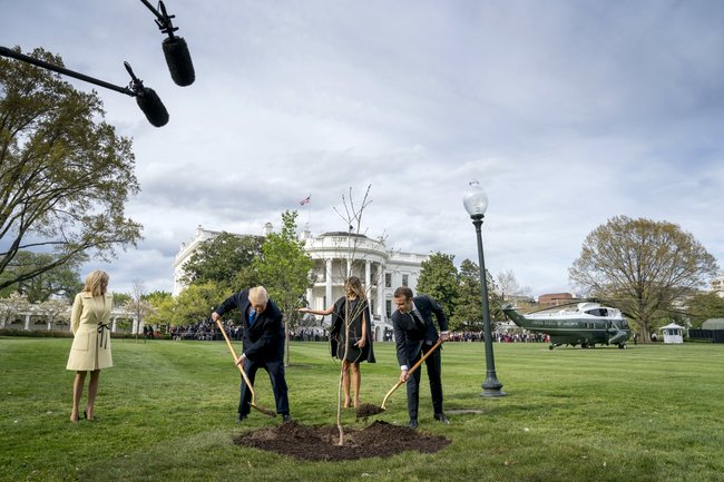 Эммануэль Макрон и Дональд Трамп сажают дуб
23 апреля Andrew Harnik / AP / Scanpix / LETA