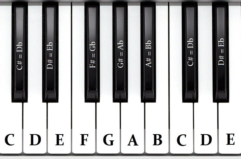 Фортепиано черные клавиши. Клавиши на пианино название. Клавиши пианино с нотами. Чёрные клавиши на пианино названия. Расположение клавиш на фортепиано.