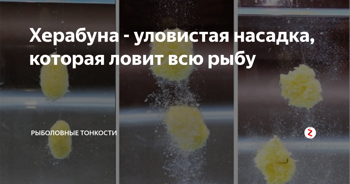 Вместе с этим читают
