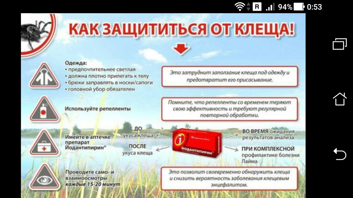 Осмотр на предмет присасывания клеща проводится. Клещи способы защиты. Памятка по вакцинации от клещевого энцефалита. Памятка про клещей на а4. Боррелиоз симптомы после укуса клеща у человека.