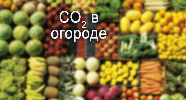 CO2 в огороде