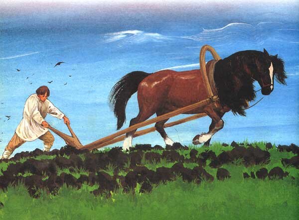 На какую пенсию может рассчитывать сельский работник?