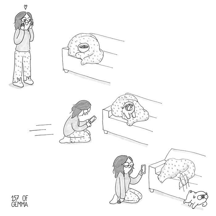 Когда хотел красиво сфоткать домашнее животное…