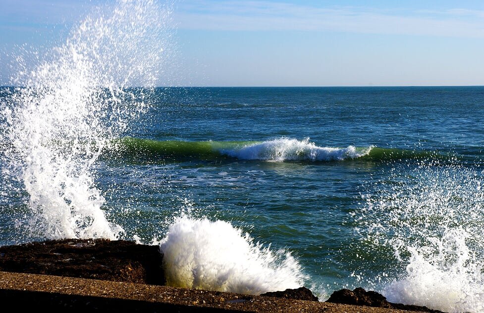 фото из личного архива