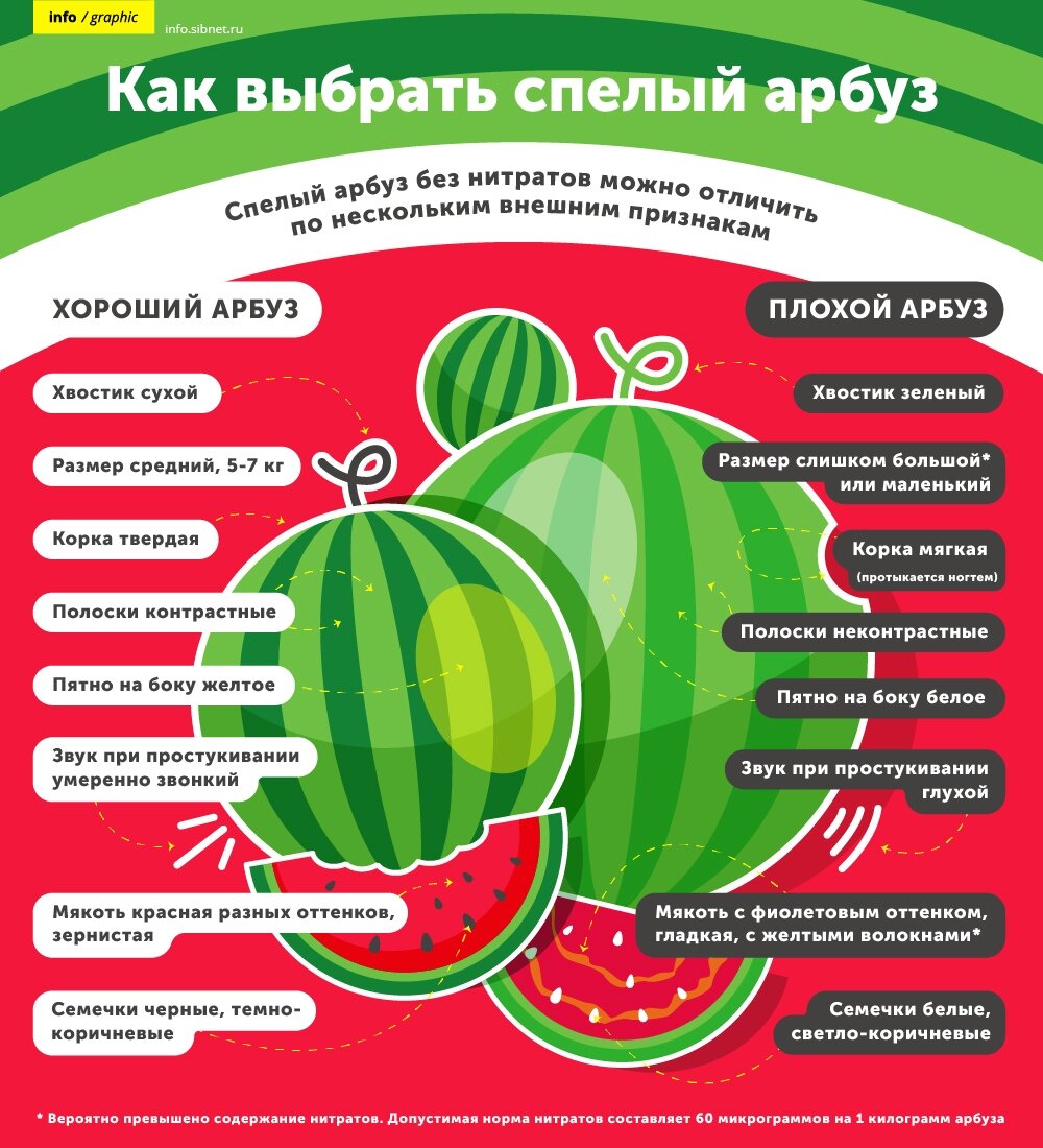 как выбрать арбуз девочку или мальчика. выбрать сладкий арбуз. как правильновыбируть арбузы. какой арбуз вкусней. как правильно выбрать арбуз спелый и сладкий.