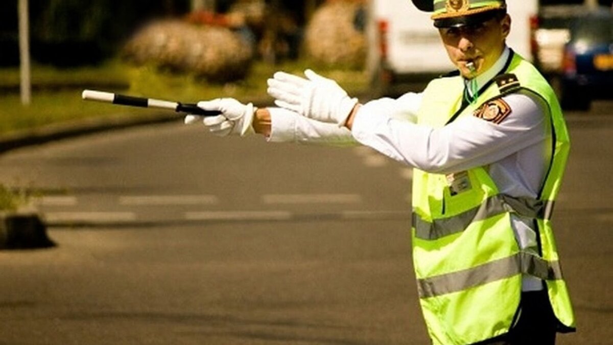 Источник: https://youtu.be/ihLTVD8xIx0