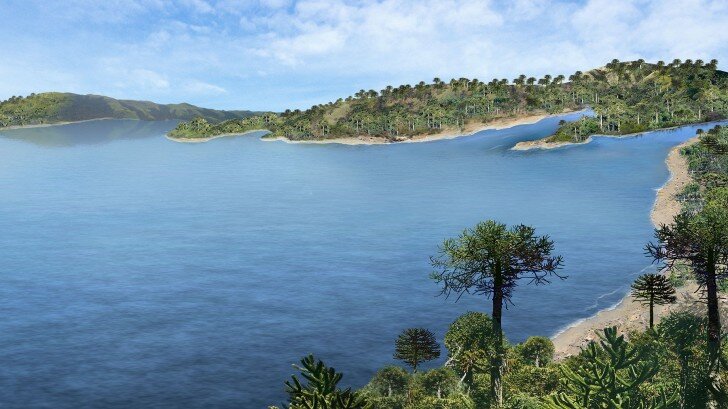 Антарктида была свободна от льда в течение мелового периода. За это время на обоих полюсах были леса.