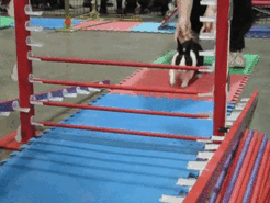 © WonkyElla / twitter