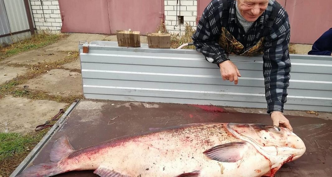 Фото: ИД "Пресса"