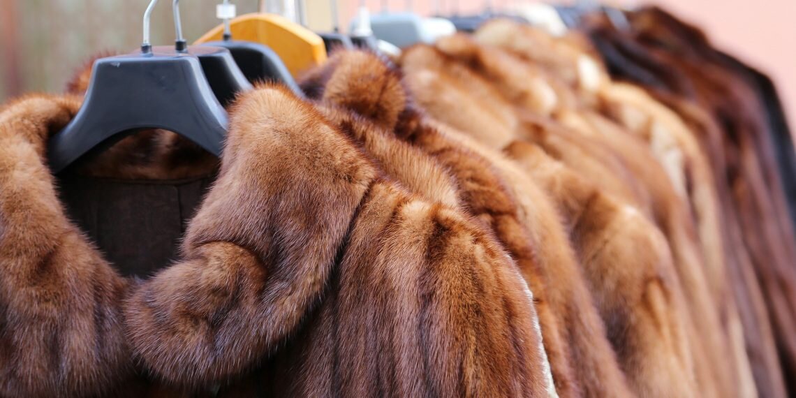 Фото: wstale.com