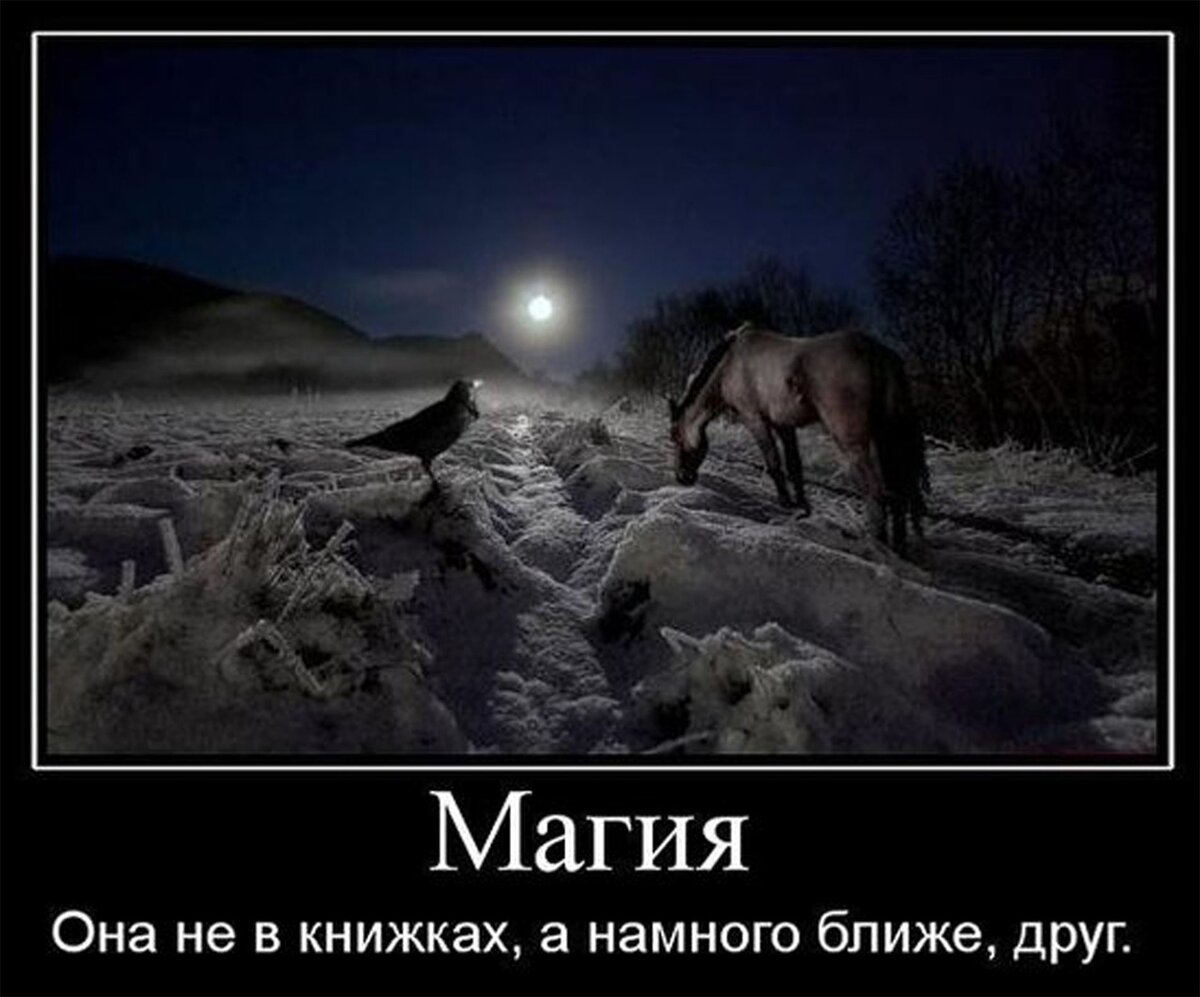 умные мысли и высказывания. ближе чем кажется фильм. гораздо ближе. гораздо ближе. цитаты про статусы в социальных сетях.