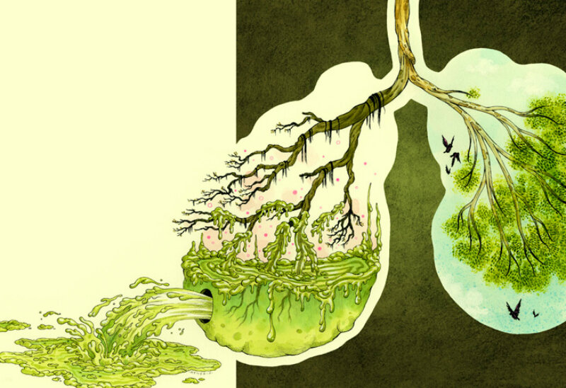 Источник: https://clever.zone/images/039b7b4e17de1b9546a3bdee49a53092.jpg