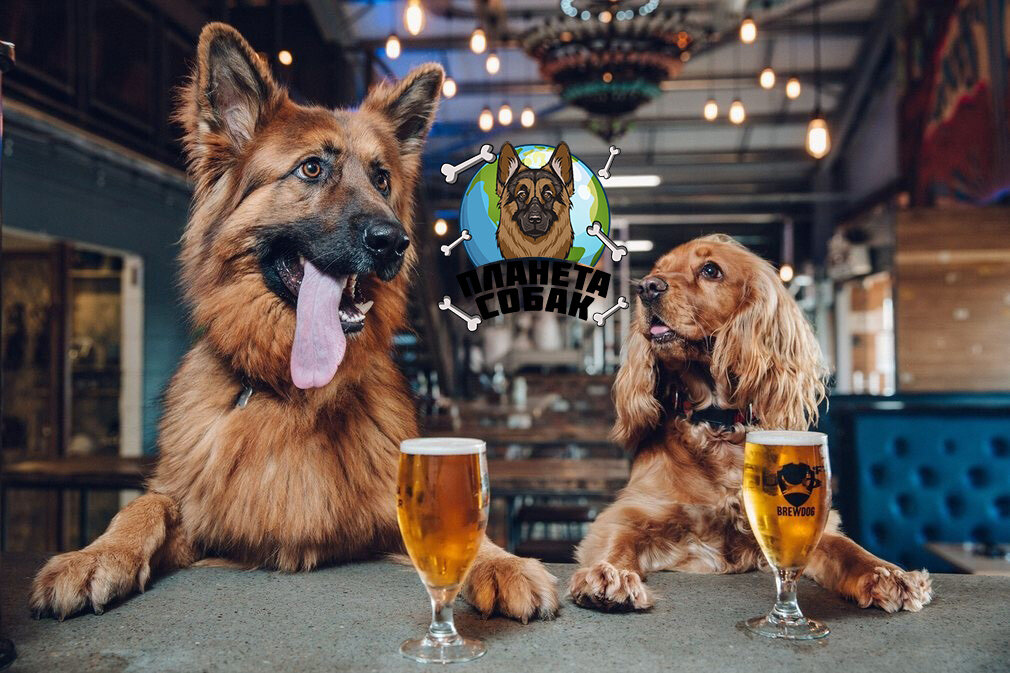 Подписывайтесь на канал, ставьте лайки. Спасибо.