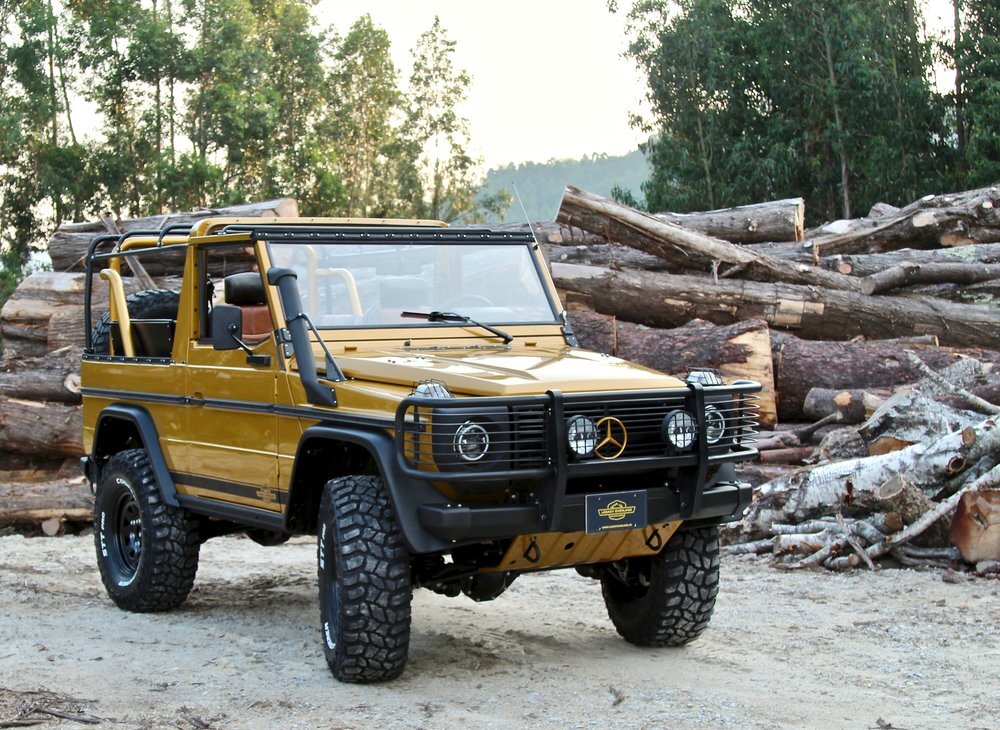 mercedes-benz g 250 gd