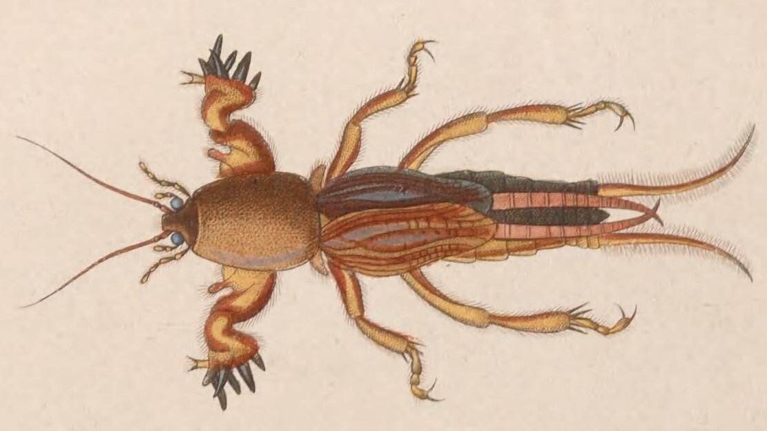 Трогайте на здоровье!