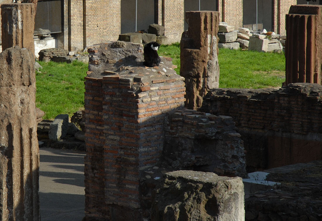 Фото: Luigi Rosa, https://www.flickr.com/photos/lrosa/449243249/ (https://creativecommons.org/licenses/by-sa/2.0/)