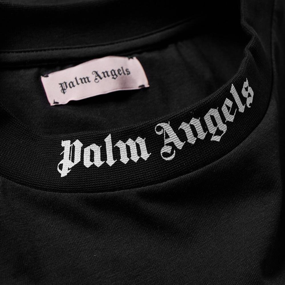 Картинка palm angels