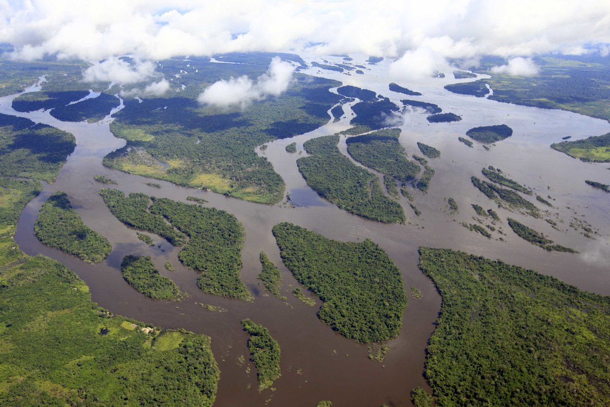Тайны реки Амазонки | Aviationtoday.ru | Дзен
