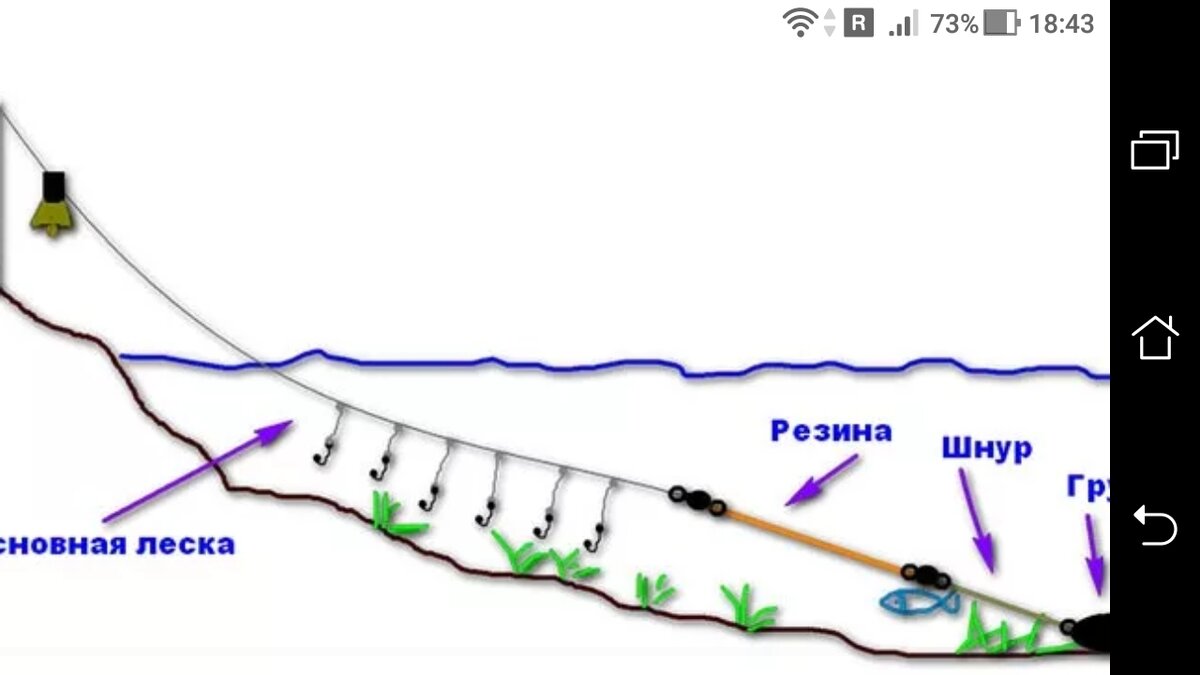 Донка резинка: описание снасти, изготовление своими руками