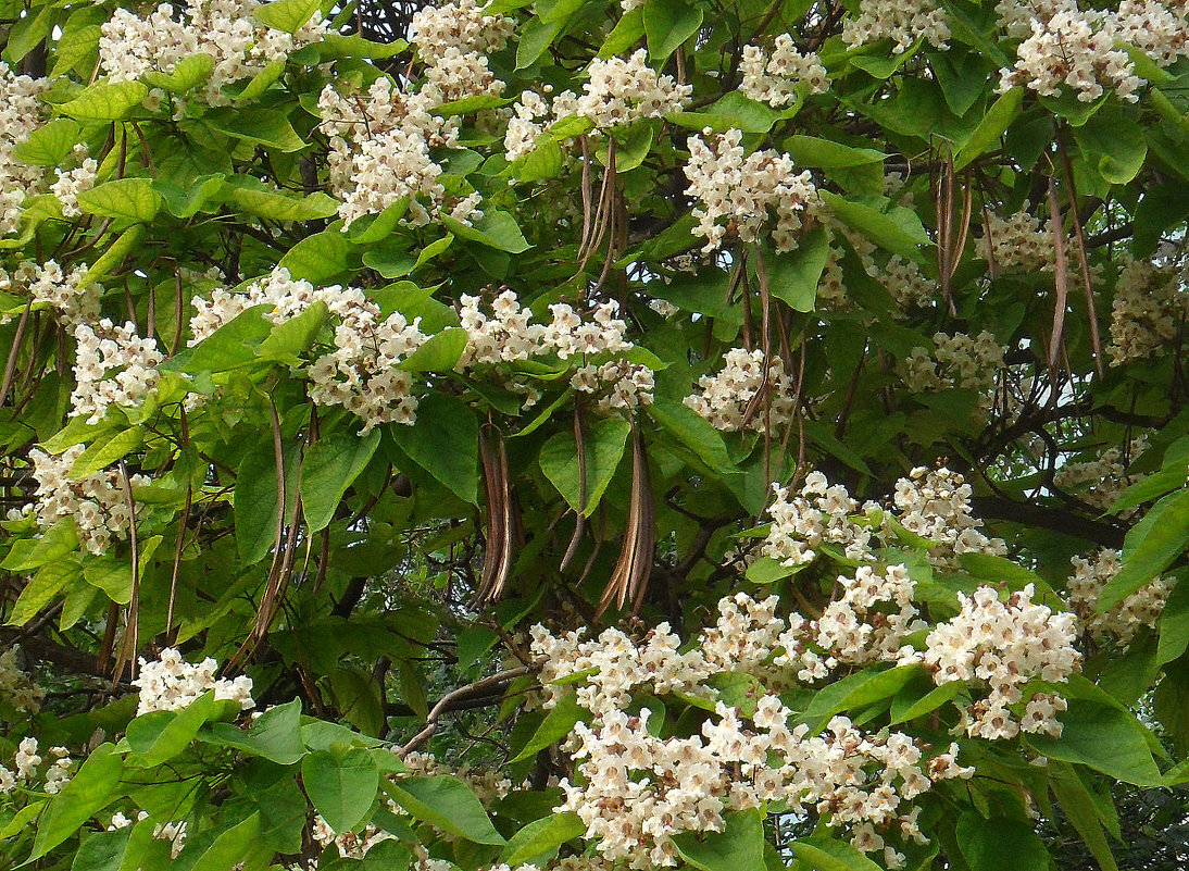 Фото взято из открытых источников