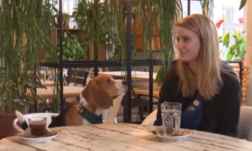 На фото Анастасия и Харп.