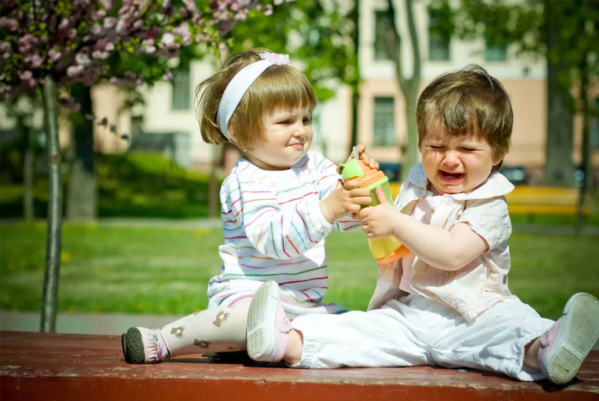 Яндекс картинки