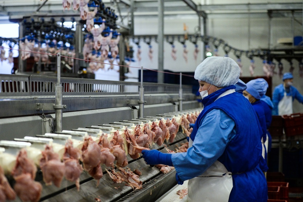 В марте этого года в России отмечено снижение цены на мясо от производителей, сообщает издание «Финмаркет».