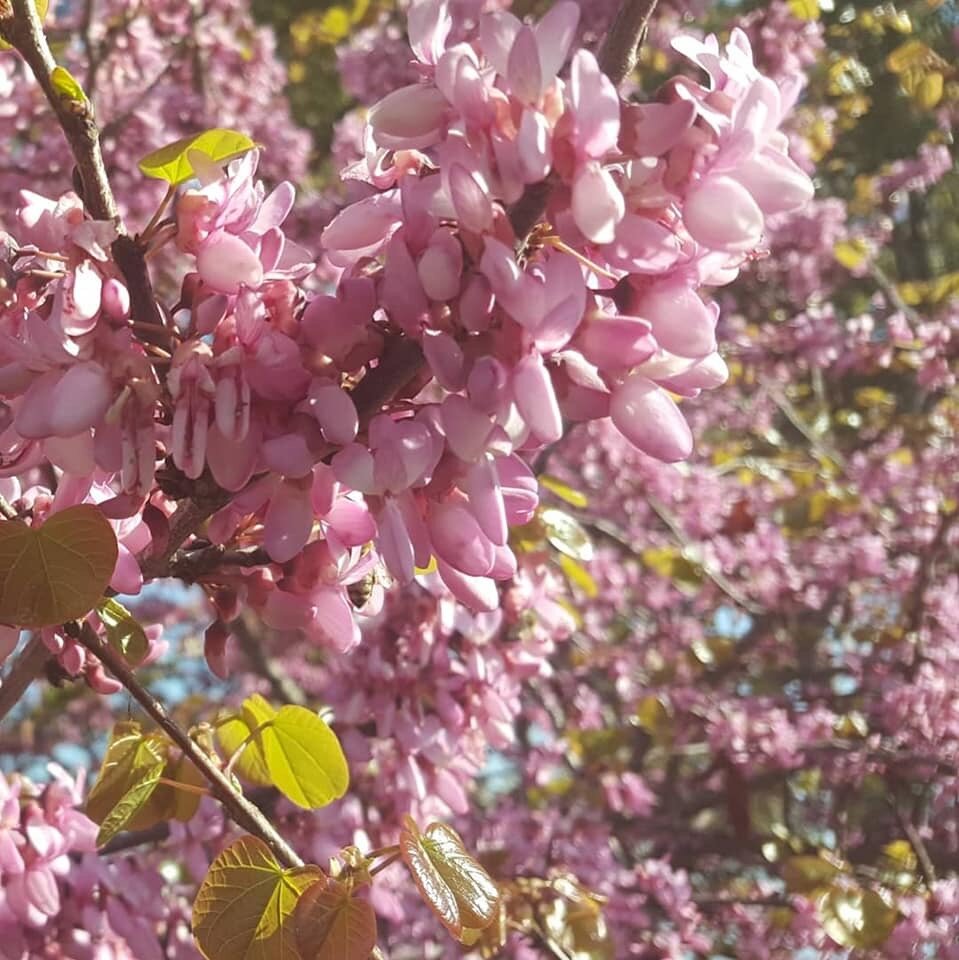 Используется фотография из открытого источника интернета