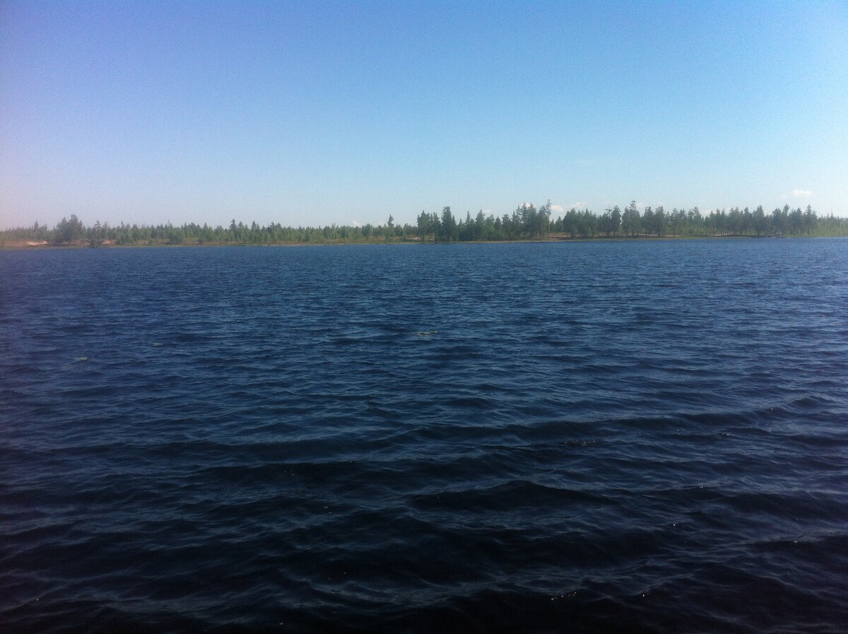 Озеро Кщара Владимирская область рыбалка
