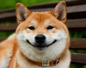 Фото взято из открытых источников.