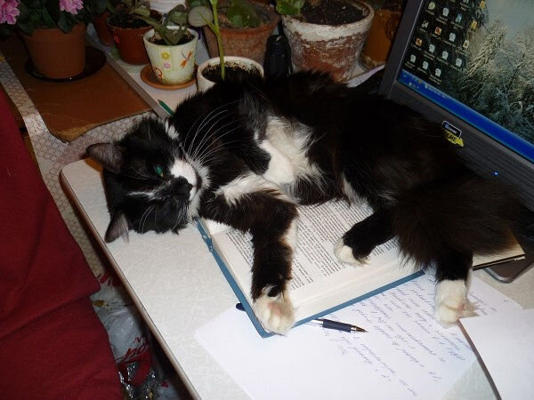 Отдыхаю от учебы