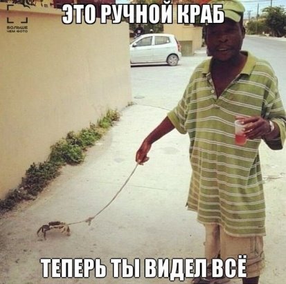 Просто чудный ребенок так мило играет с котом пока мама на работе не правда ли???