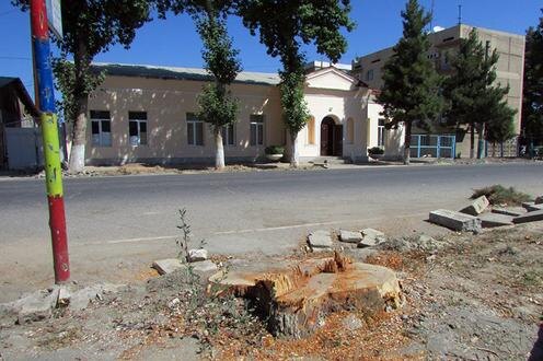  Вырубка в Самаркандской области. Фото с сайта Nuz.uz