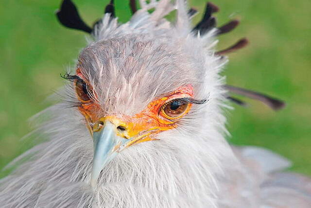 Ну какая же я безжалостная, ты только посмотри в мои невинные глаза