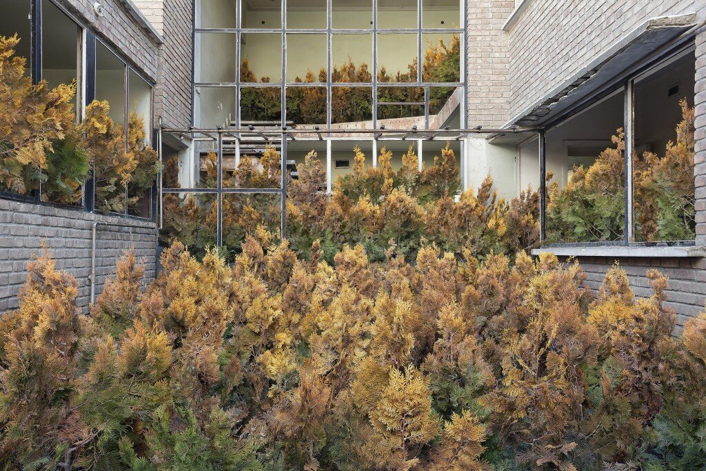 Фото: Gohar Dashti