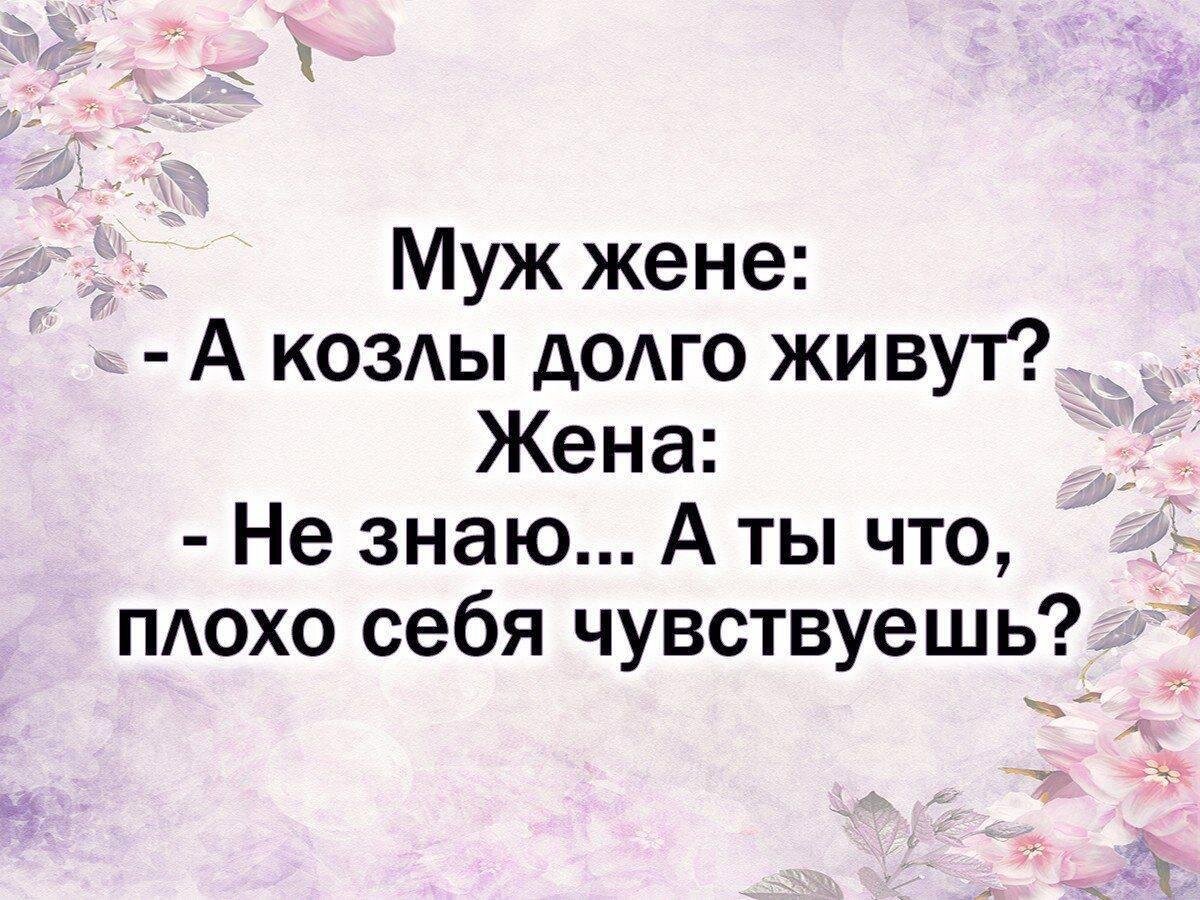 Цитаты про мужа