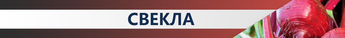 5 продуктов, расширяющих сосуды после 50 лет