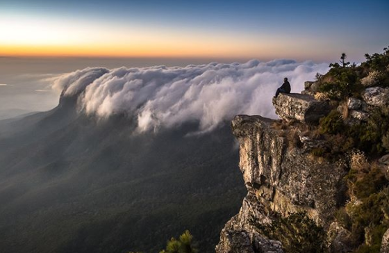 Источник: @emgatlandsafariart