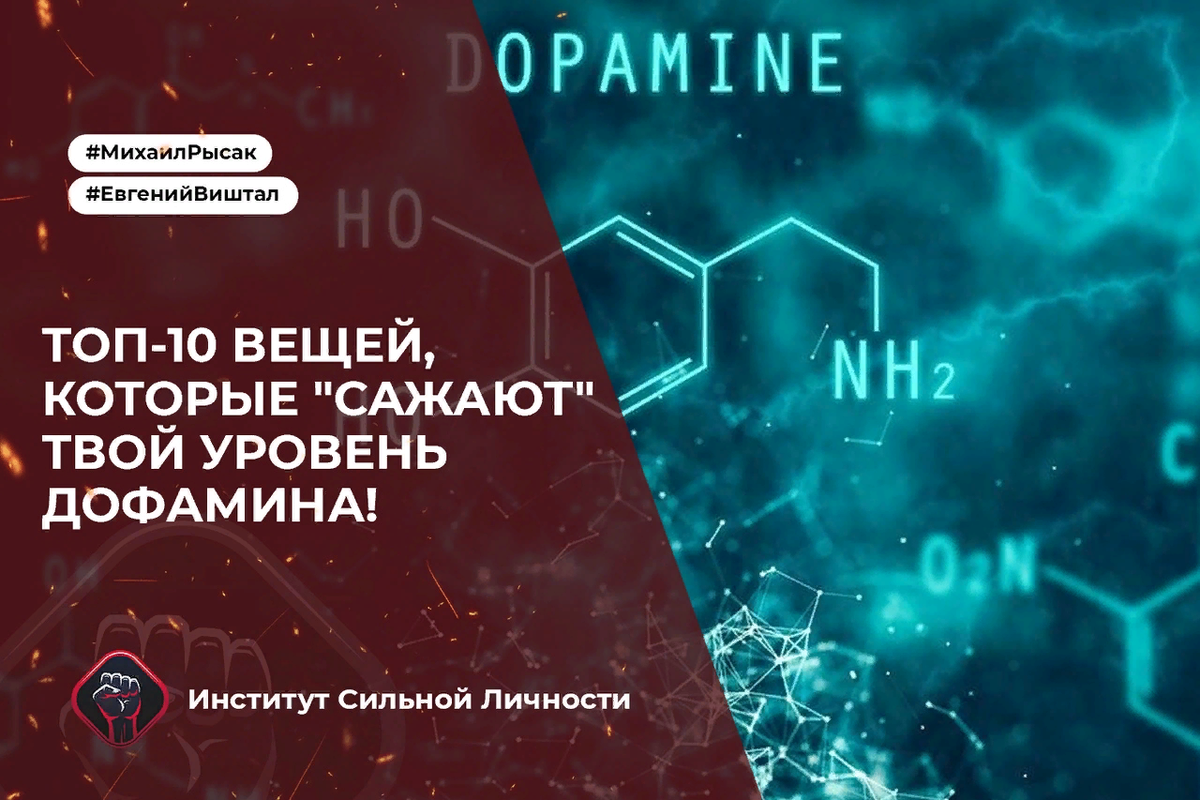 Фото взято из открытых источников