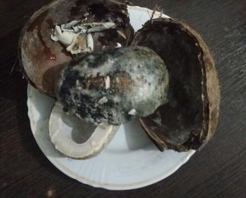 Фото: chp_nalchik // instagram.com