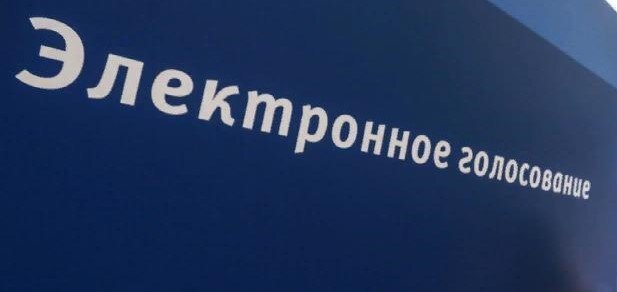 Электронное голосование. Фото: https://aogazeta.ru.